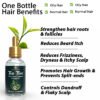 Tea Tree Essential Oil, 100% Natural & Organic, Dropper for Skin, Hair Care (30 ml)
